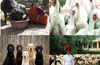 Crowd-funding sought for animal welfare hospital in DK